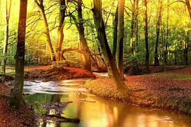 Fall Wallpapers [5760x1080] : Threescreenwallpapers