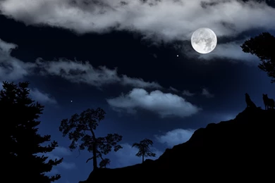 Moonlight Wallpapers