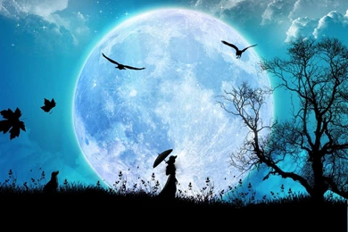 Download Moonlight Night Wallpapers