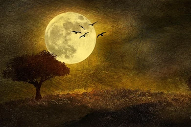 Yoga HD Wallpapers 2.jpg