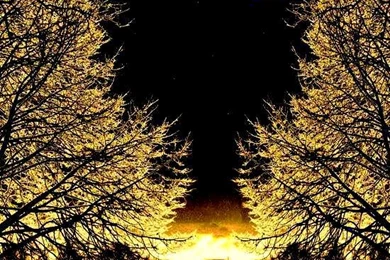 Moonlight Wallpapers   Beautiful Pictures Photo (34660537)   Fanpop