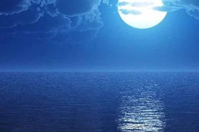 Moonlight Wallpapers Android Apps On Google Play