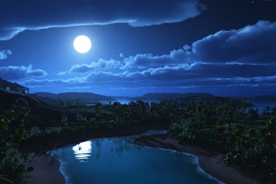 Download Moonlight Night Wallpapers