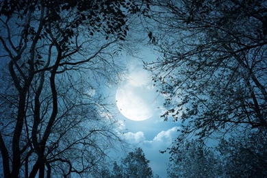 Moon Clouds Dark Landscapes Moonlight Wallpapers