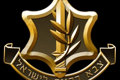Israel Defense Forces