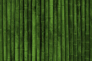 Green Hd Wallpapers Collection (41+)