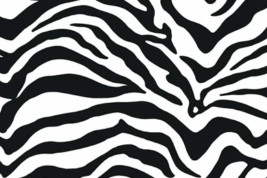 Zebra Wallpapers – AB Wallpapers