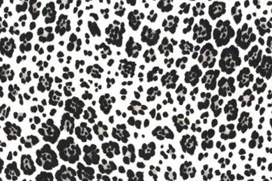 Large Print Wallpapers   Widescreen HD Wallpapers