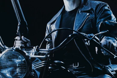 Arnold Schwarzenegger Terminator 2 Judgement Day