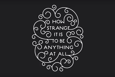 Statement Computer Wallpapers, Desktop Backgrounds