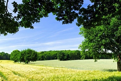 Download Landscapes Nature Live Wallpapers For PC