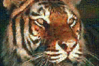 Tiger Collage. Free Animal And Wildlife Computer Desktop Wallpapers