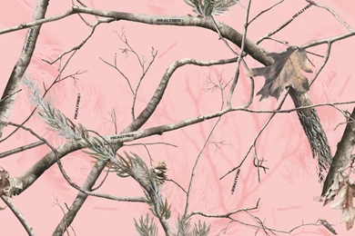 Pink Camo Wallpapers   Wallpapers High Definition