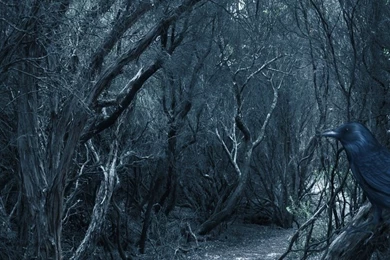 Free Backgrounds Eerie 2 By H stock On DeviantArt