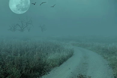 Backgrounds For Manips Favourites By BeccaB323 On DeviantArt