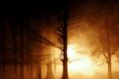 Ghost Fog Wallpapers