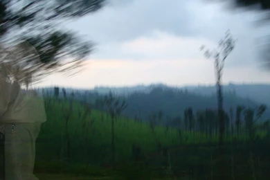 File:GHOST.jpg   Wikimedia Commons