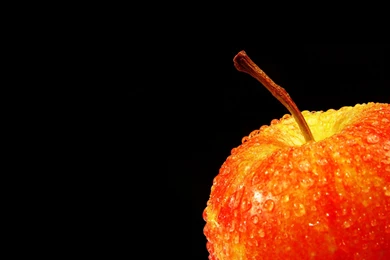 Animated Desktop Backgrounds Wallpapers ~ Toptenpack.com