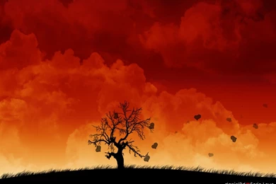 Dead Tree Because No Love Ztona Wallpapers