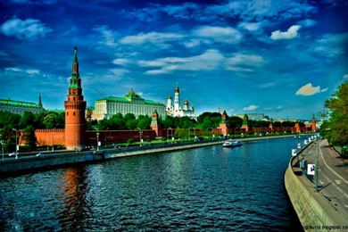 Live Wallpapers Windows 8 Phone