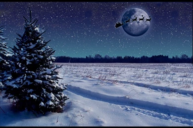 Christmas Night Wallpapers Wallpapers