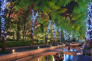 Christmas Lights Night Wallpaper Images