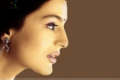 Wallpapers   Amisha Patel (24296) Size:1280x1024