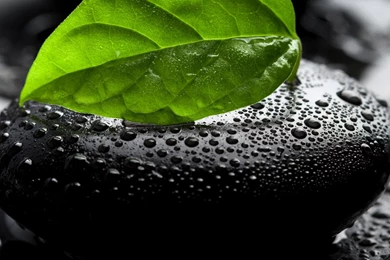 Sonakshi Sinha Hot, Smile, Sneakers, Sneha, Soft On Hard