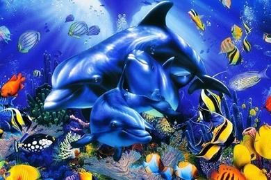 Cool Android Wallpapers