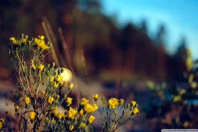 Vintage Photography HD Desktop Wallpapers : High Definition ...