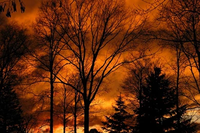 Photographic Wallpaper Red Sky By Bazilisk On DeviantArt