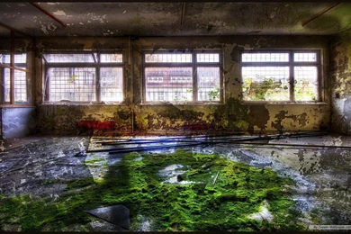 Free Wallpapers   Free Photography Wallpapers   Gray Photographic 8 ...