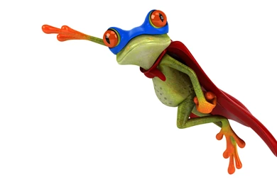 Download Wallpapers Free Frog, Frog, Graphics, Superman Costume ...