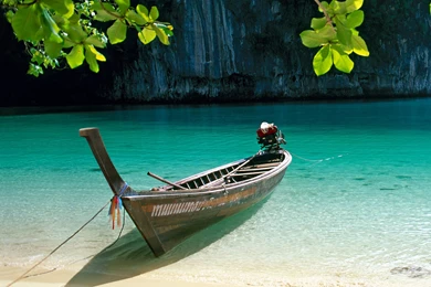 Nature Sunshine Galaxy S4 Wallpapers