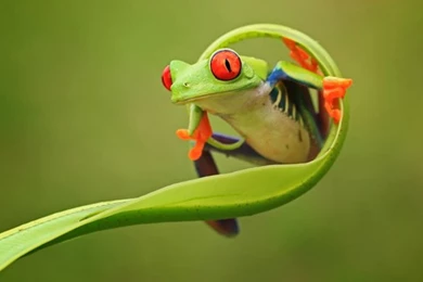 3d Moving Wallpapers For Mobile Free Download – Wallpapers