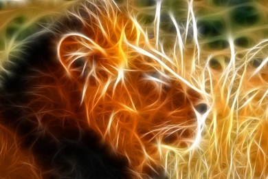 Glowing Lion Animal Wallpapers 050   Free HD Wallpapers Stock ...