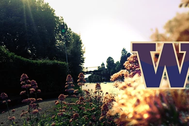 WASHINGTON HUSKIES College Football Wallpapers