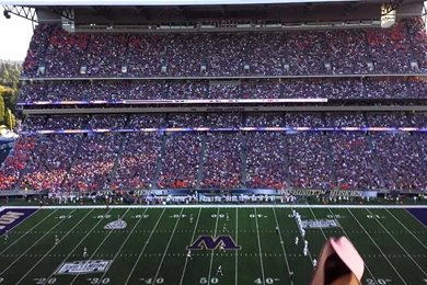 WASHINGTON HUSKIES College Football Wallpapers