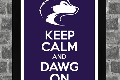 Washington Huskies On Pinterest