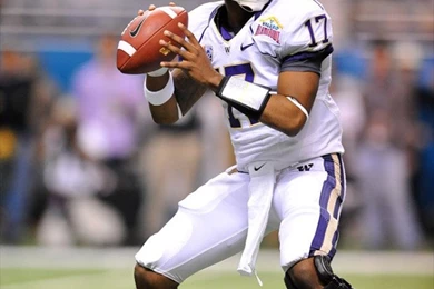 Siberian Husky Puppy Wallpaper;husky ;; Wallpapers