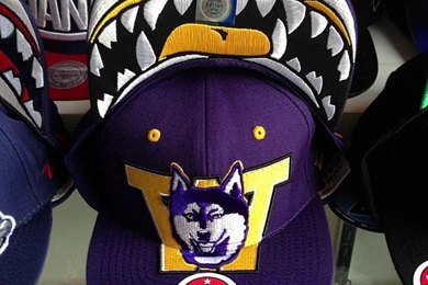 Washington Huskies « Throwbacks Northwest