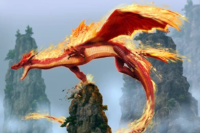 Dragons Wallpapers HD   Wallpapers Cave