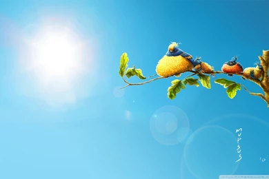 Funny Archives   Page 13 Of 16   Free Wallpapers Full Hd 1080p ...