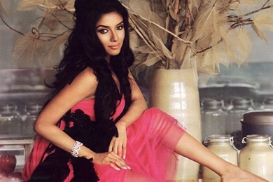 Hot Actress Asin Thottumkal Hd Wallpapers