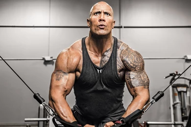 16 Quality The Rock Wallpapers, Celebrity
