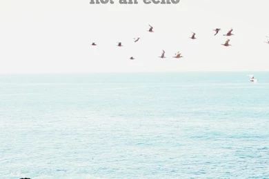 1000+ Wallpapers Quotes On Pinterest