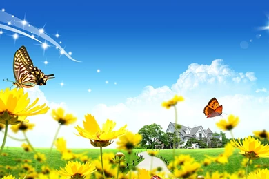 Download Wallpapers 1920x1080 House, Flowers, Lawn, Ladybugs Full ...