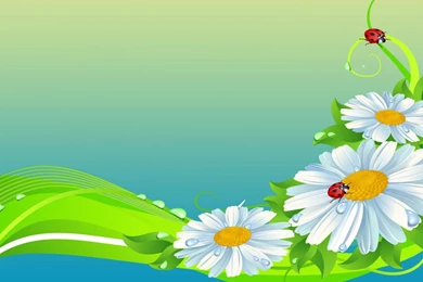 DAISIES AND LADYBUGS WALLPAPER   (
