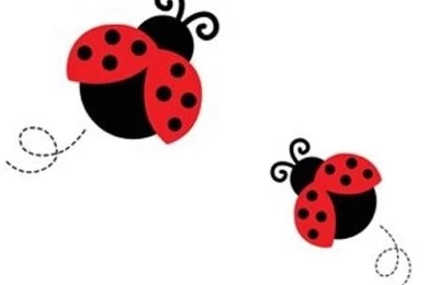 Wallpapers Ladybug Case Samsung Galaxy S Advance S2 S3 Mini S4 Mini ...