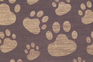 Paw Prints iPhone 5 Wallpapers (640x1136)
